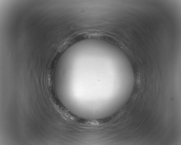 X0000081570715200701151026
