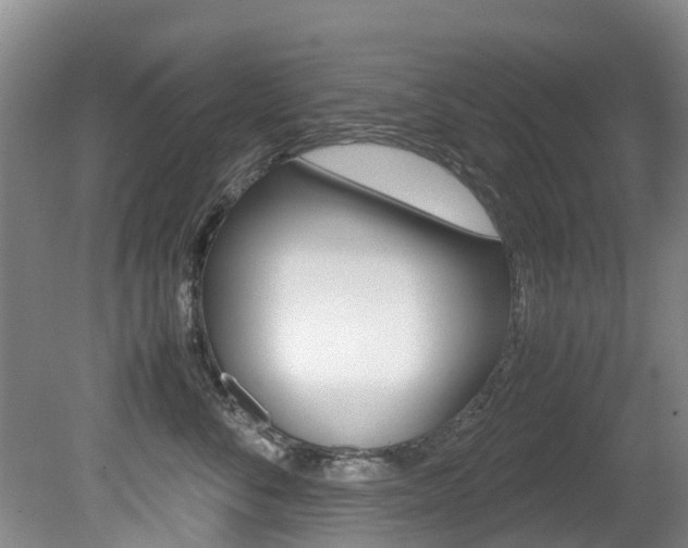 X0000081570716200701151026