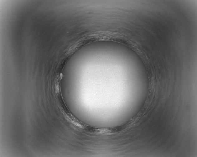 X0000081570719200701151026