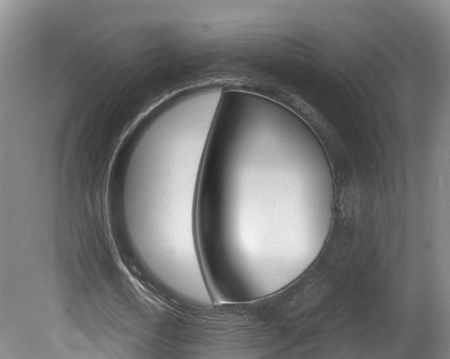 X0000081570722200701151025