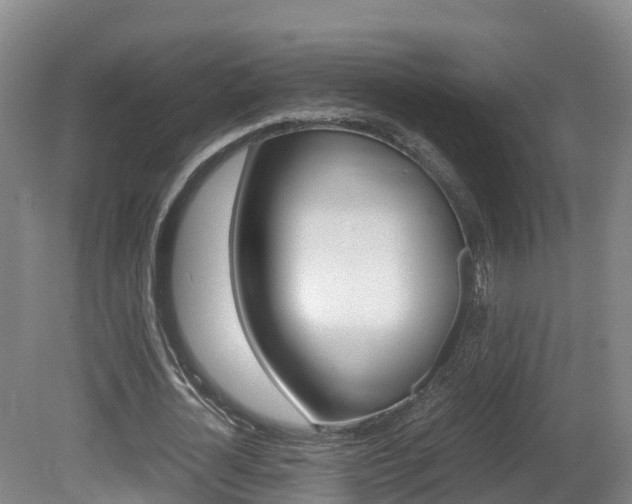 X0000081570724200701151025