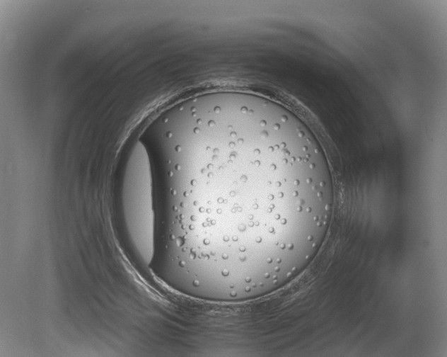 X0000081570725200701151025
