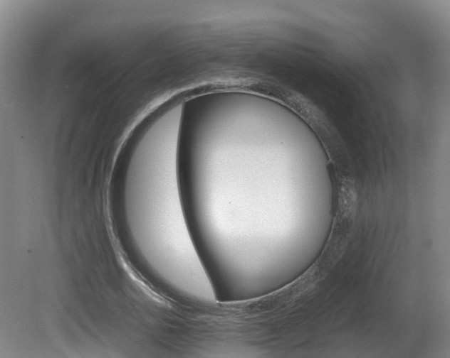 X0000081570726200701151025