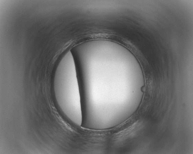 X0000081570729200701151025