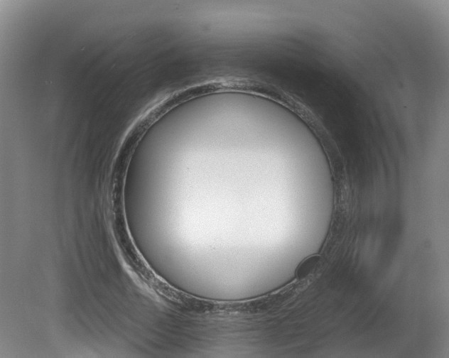 X0000081570730200701151025