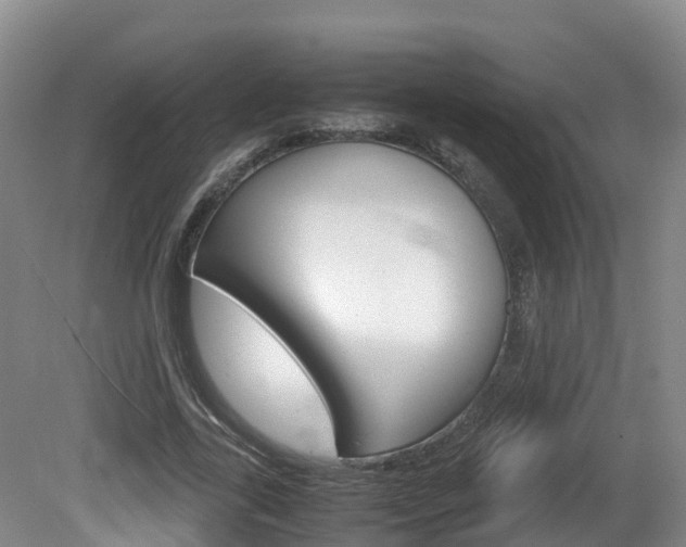 X0000081570731200701151025