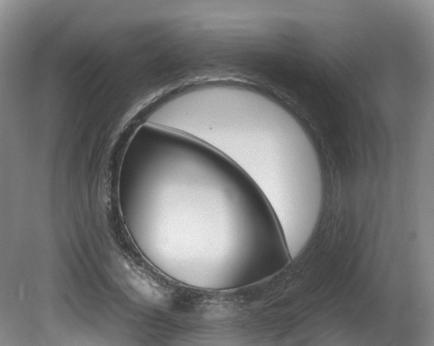 X0000081570732200701151025