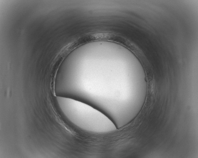 X0000081570733200701151025