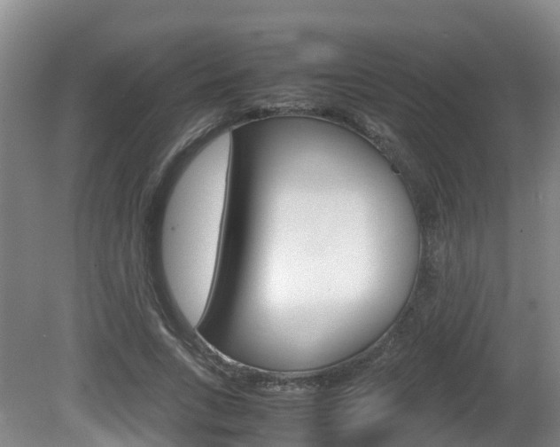 X0000081570735200701151025