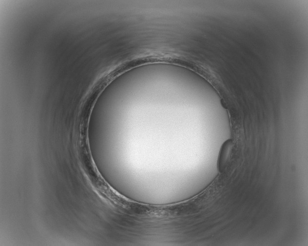 X0000081570736200701151025