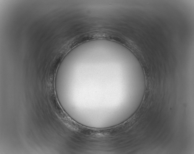 X0000081570737200701151025