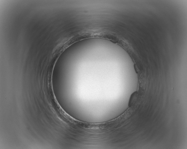 X0000081570740200701151025