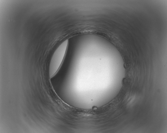 X0000081570743200701151025