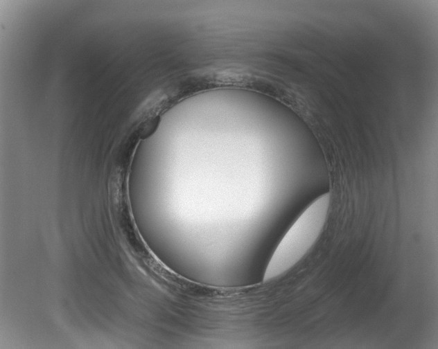X0000081570744200701151025
