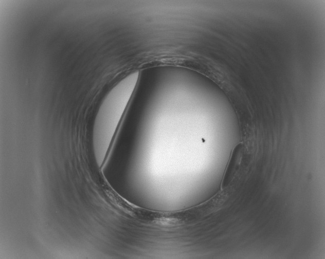 X0000081570748200701151025