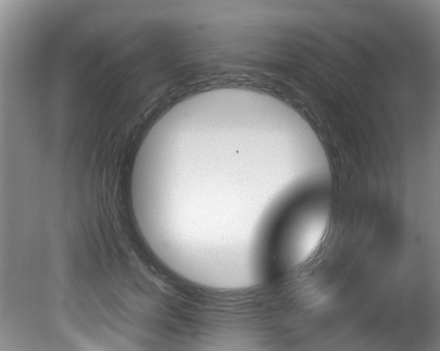 X0000081570750200701151025