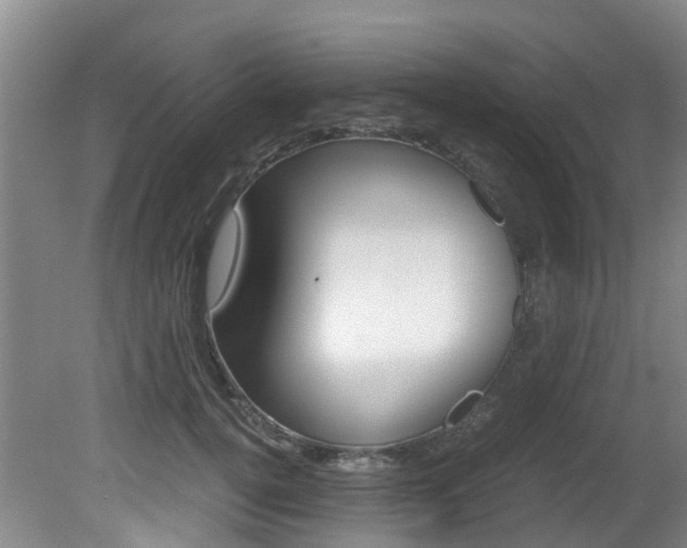 X0000081570752200701151025