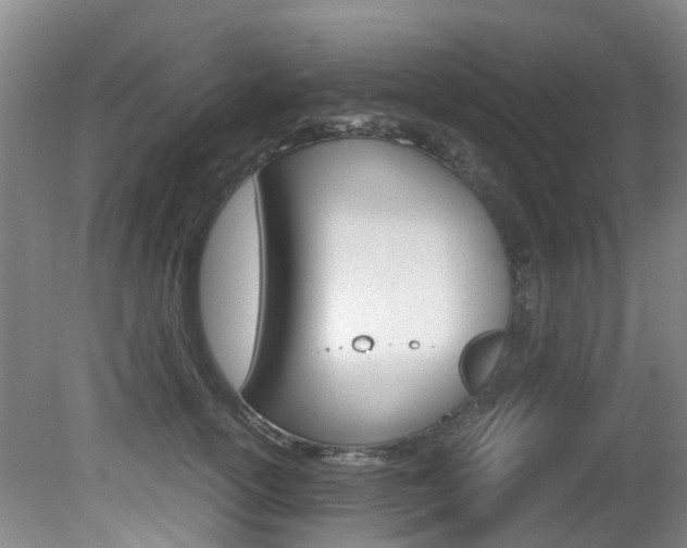 X0000081570754200701151025