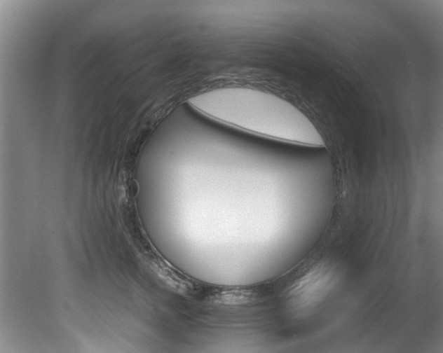 X0000081570758200701151025