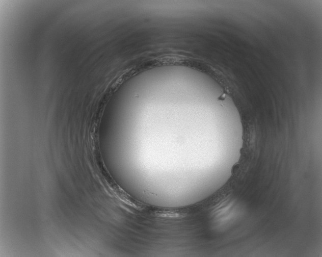 X0000081570759200701151025