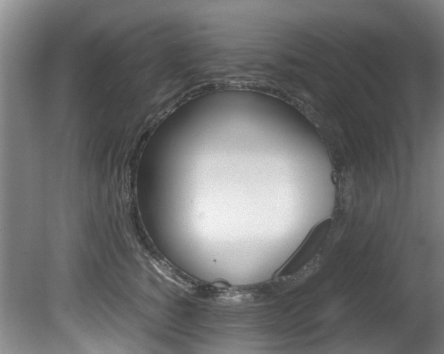 X0000081570760200701151025