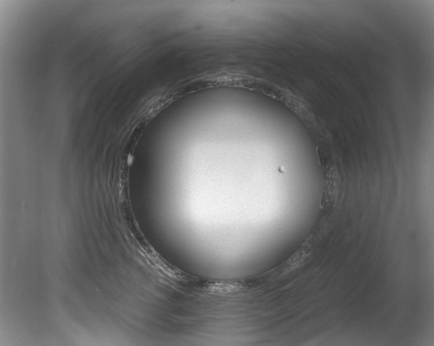 X0000081570762200701151025