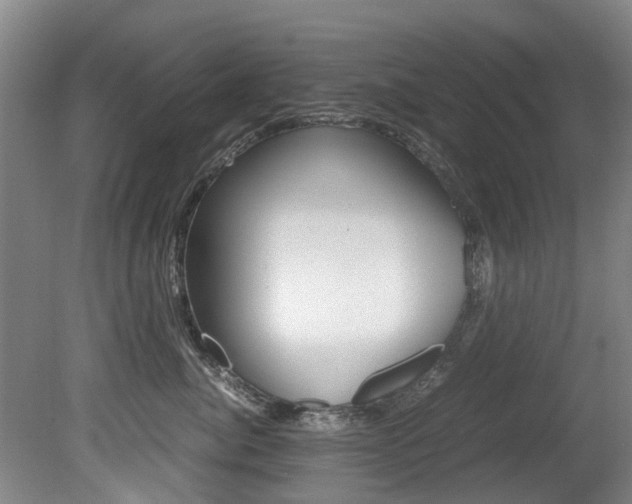 X0000081570764200701151025