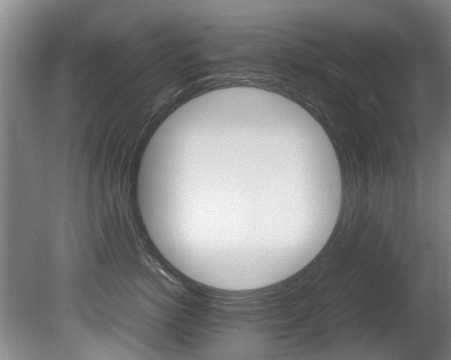X0000081570766200701151025