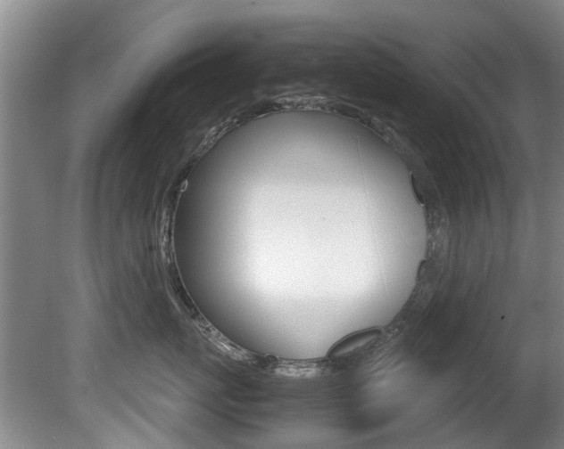 X0000081570767200701151026