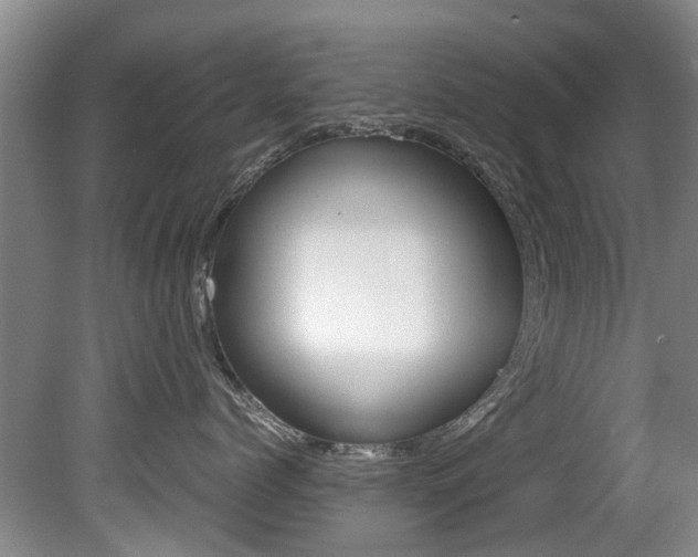 X0000081570768200701151026