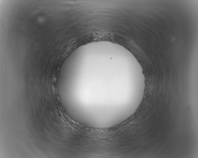 X0000081570770200701151025