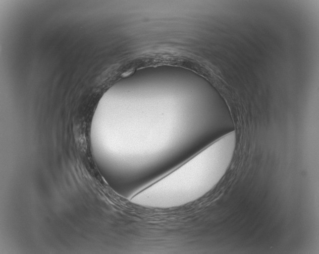X0000081570771200701151025