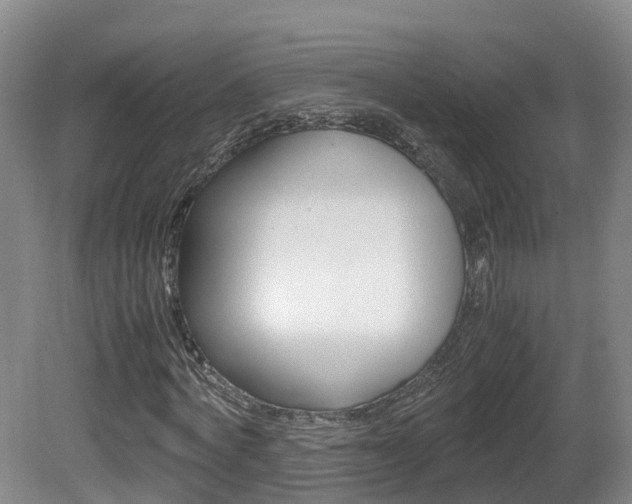 X0000081570772200701151025