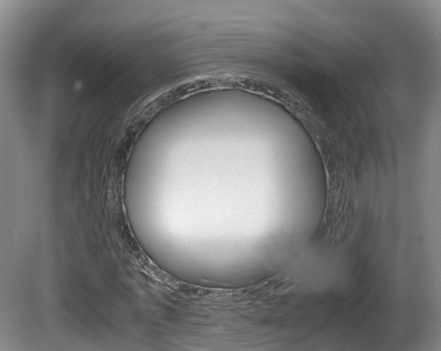 X0000081570773200701151025