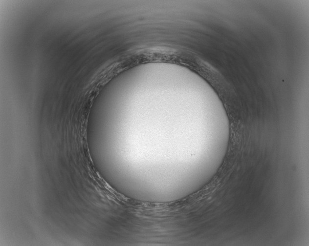 X0000081570774200701151025