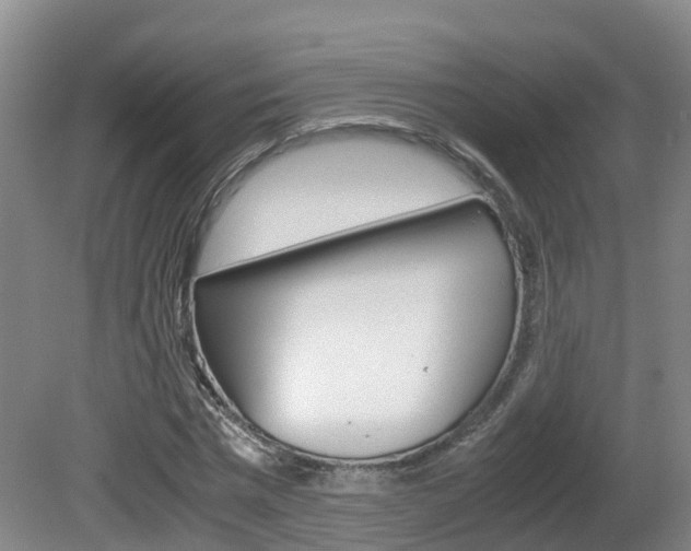X0000081570777200701151025