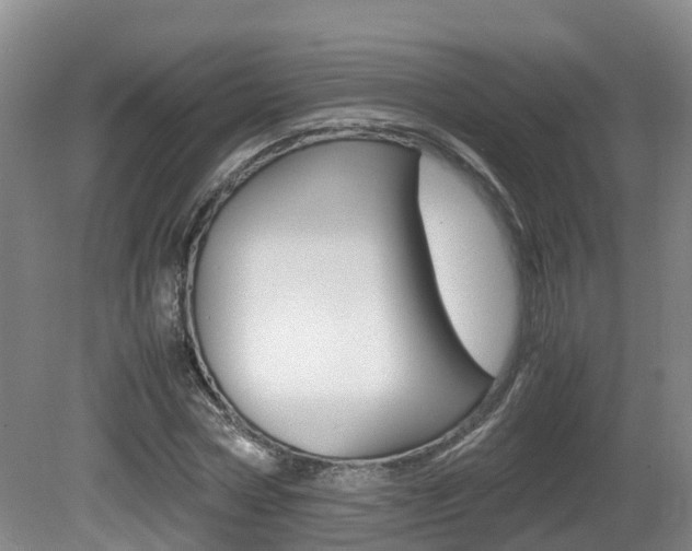 X0000081570778200701151025