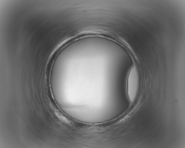 X0000081570779200701151025