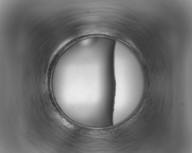 X0000081570780200701151025