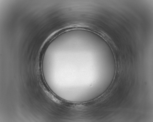X0000081570784200701151024