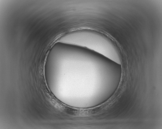 X0000081570785200701151024