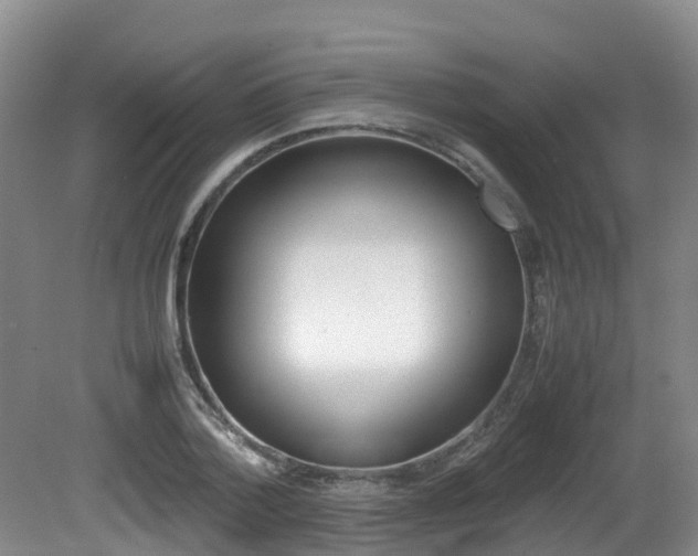 X0000081570788200701151024