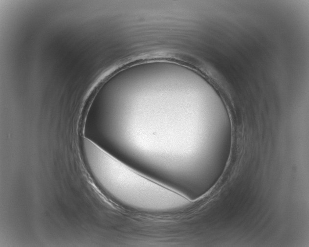 X0000081570789200701151024