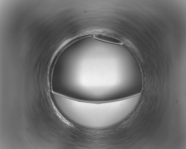 X0000081570792200701151024