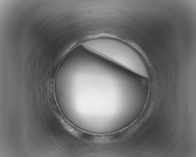 X0000081570793200701151024