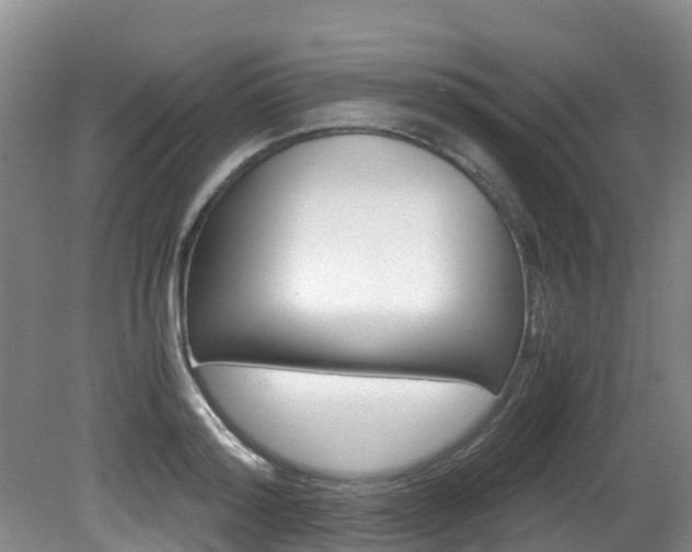 X0000081570796200701151024
