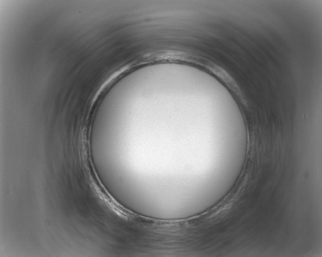 X0000081570798200701151024