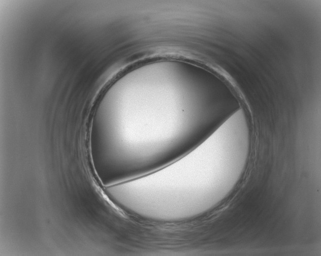 X0000081570799200701151024