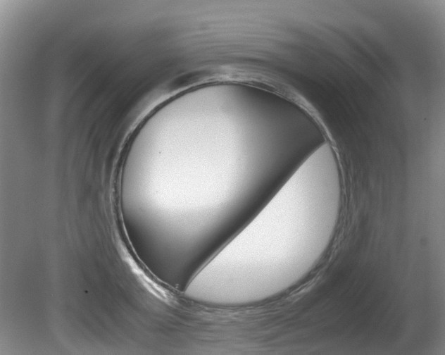 X0000081570803200701151024
