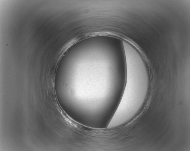 X0000081570809200701151024